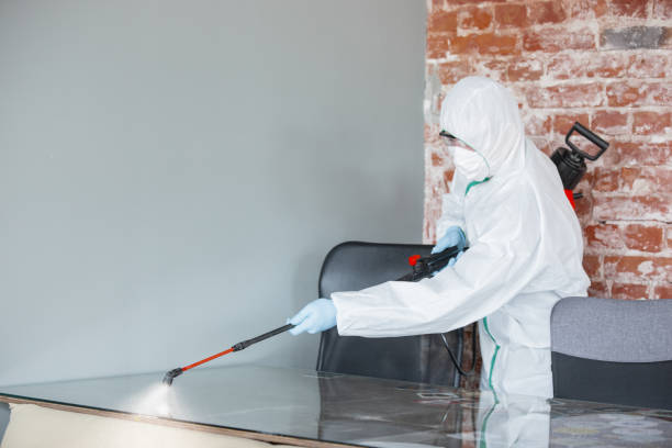 Thunderbolt, GA Mold Removal & Remediation Company