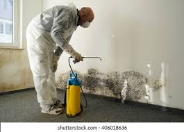 Mold Remediation for Rental Properties in Thunderbolt, GA